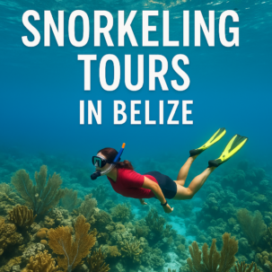 snorkeling tours Belize